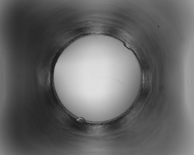 X0000089350301200707131536
