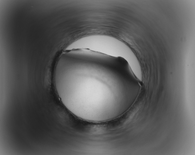 X0000089350303200707131536