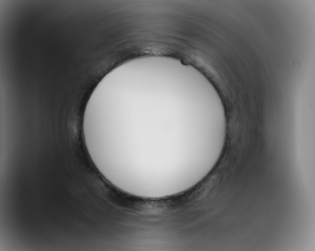 X0000089350305200707131536