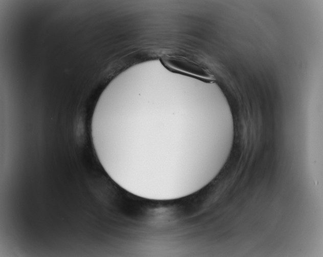X0000089350312200707131536