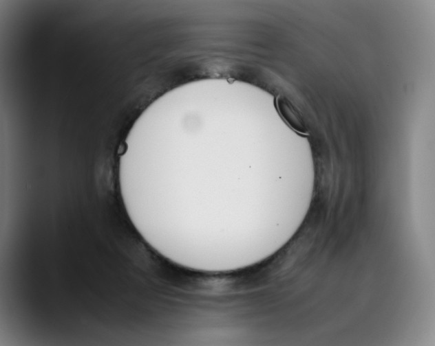 X0000089350313200707131536