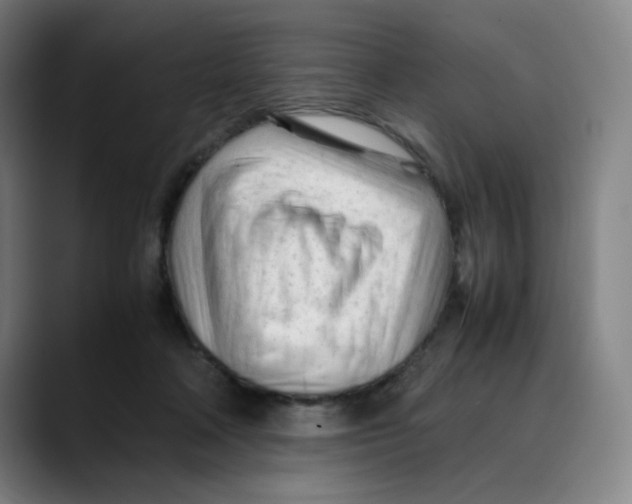 X0000089350314200707131536