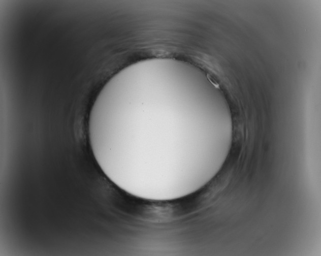 X0000089350317200707131536