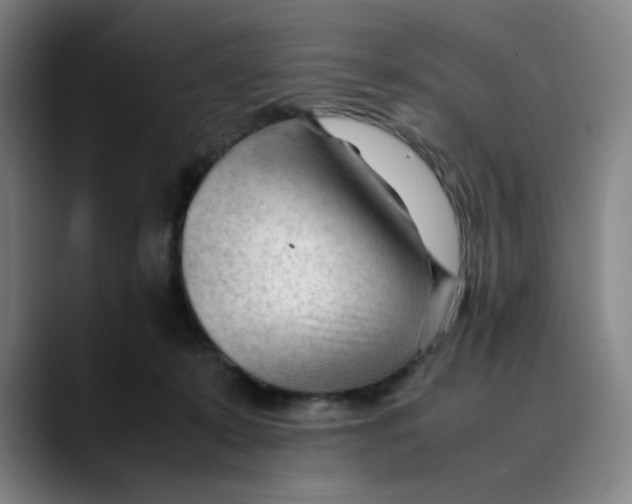 X0000089350319200707131536