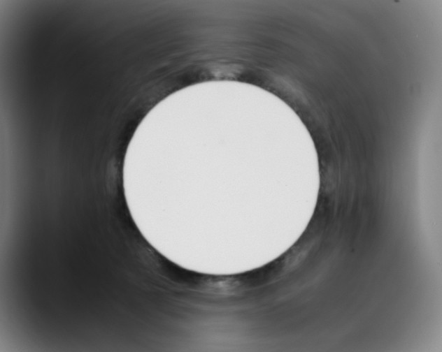 X0000089350321200707131535