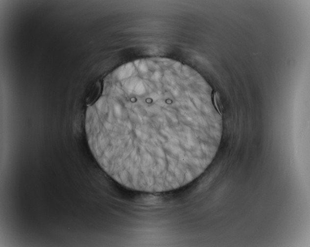X0000089350325200707131535