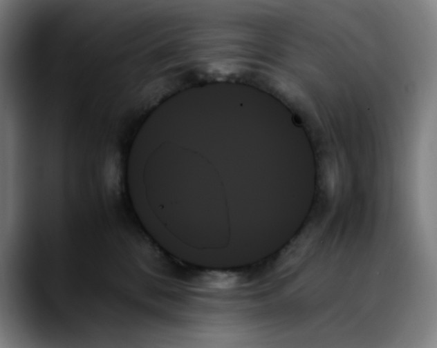 X0000089350328200707131535