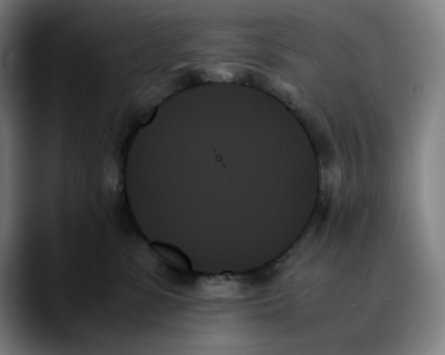 X0000089350331200707131535