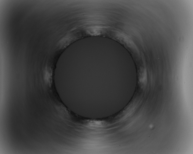 X0000089350332200707131535
