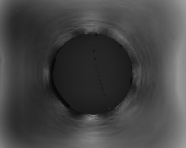 X0000089350333200707131535