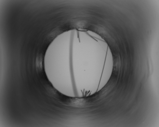 X0000089350334200707131535