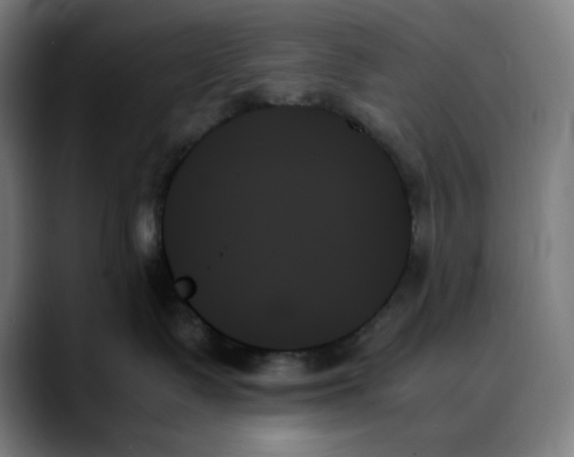 X0000089350335200707131535
