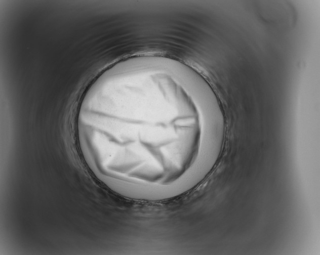 X0000089350337200707131535