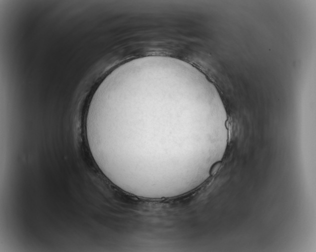 X0000089350339200707131535