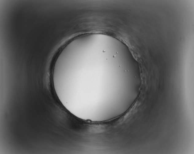 X0000089350342200707131535