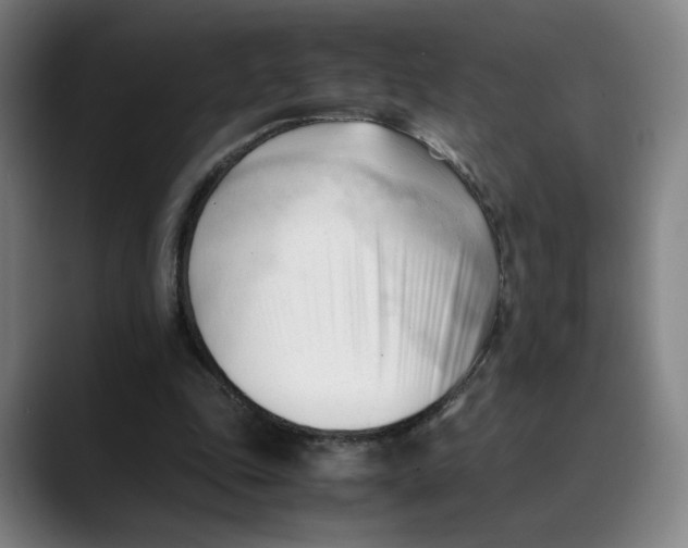 X0000089350343200707131535