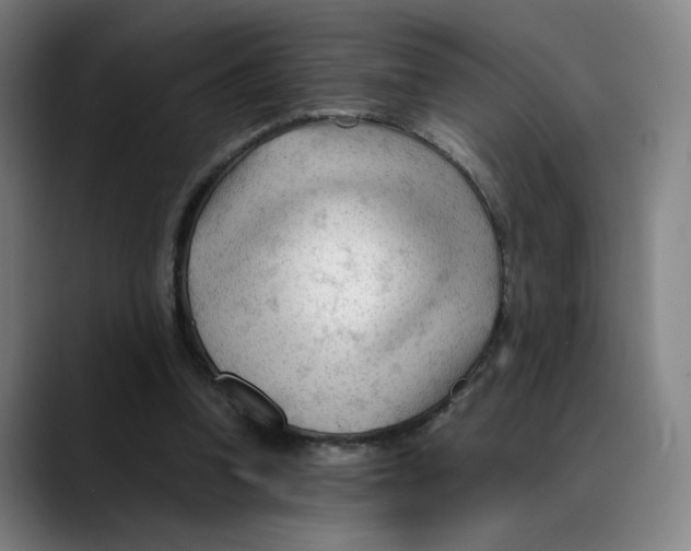 X0000089350346200707131535