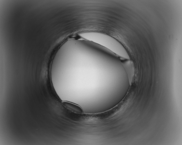 X0000089350348200707131535