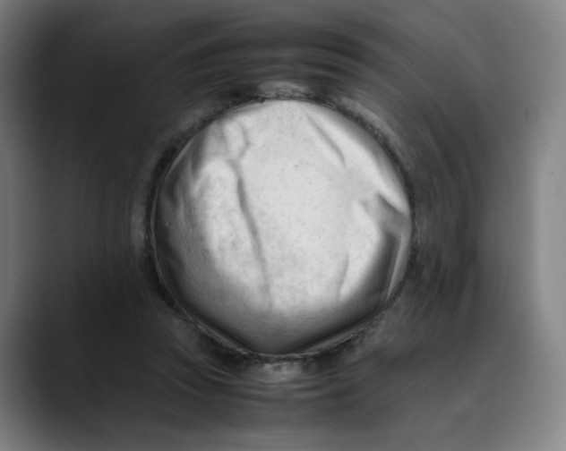 X0000089350353200707131535