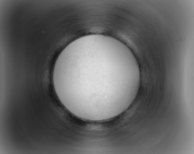 X0000089350354200707131535
