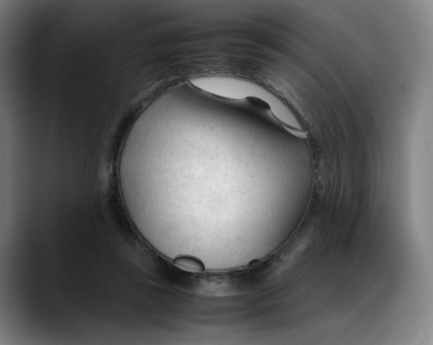 X0000089350355200707131535