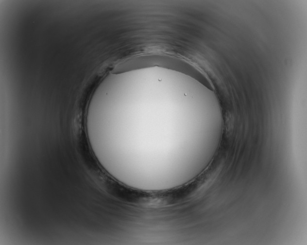 X0000089350356200707131535