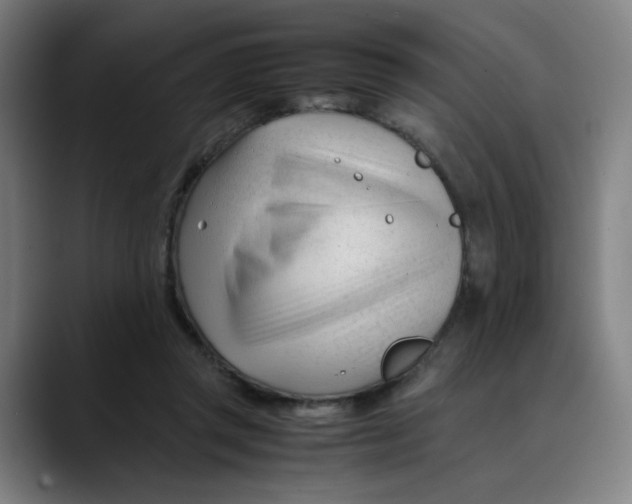 X0000089350357200707131535
