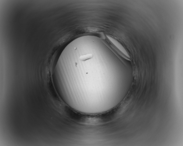 X0000089350360200707131535