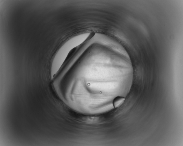 X0000089350361200707131535