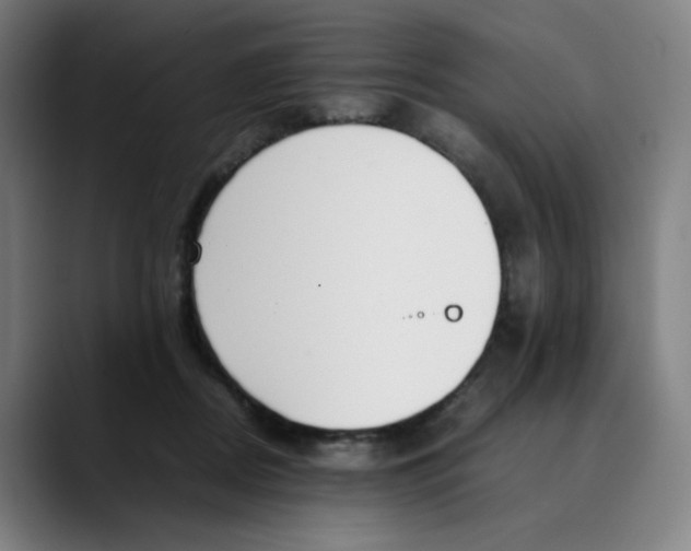 X0000089350362200707131535