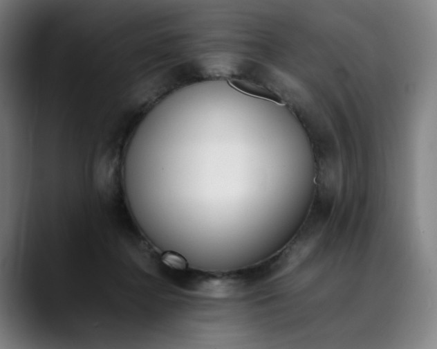 X0000089350364200707131535