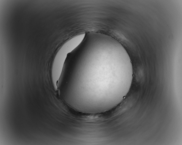 X0000089350366200707131535