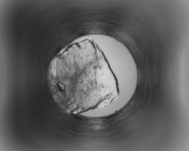 X0000089350369200707131535