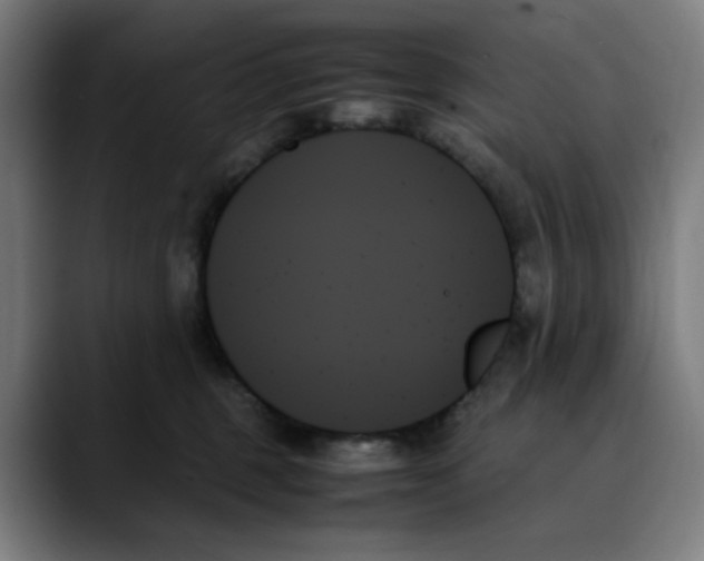 X0000089350375200707131535