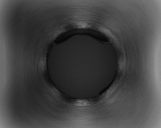 X0000089350376200707131535