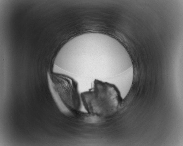 X0000089350377200707131535