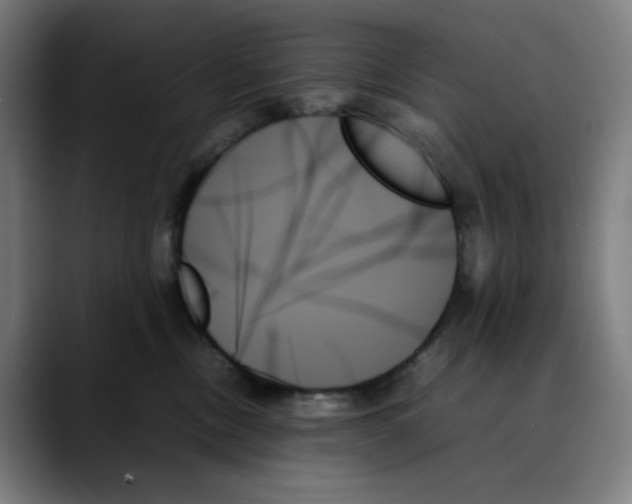 X0000089350378200707131535