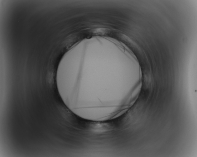 X0000089350379200707131535
