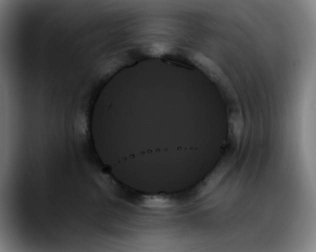 X0000089350380200707131535