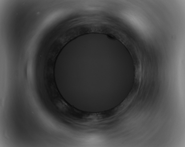 X0000089350383200707131535