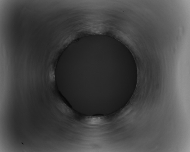 X0000089350384200707131535