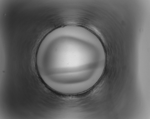X0000089350385200707131535