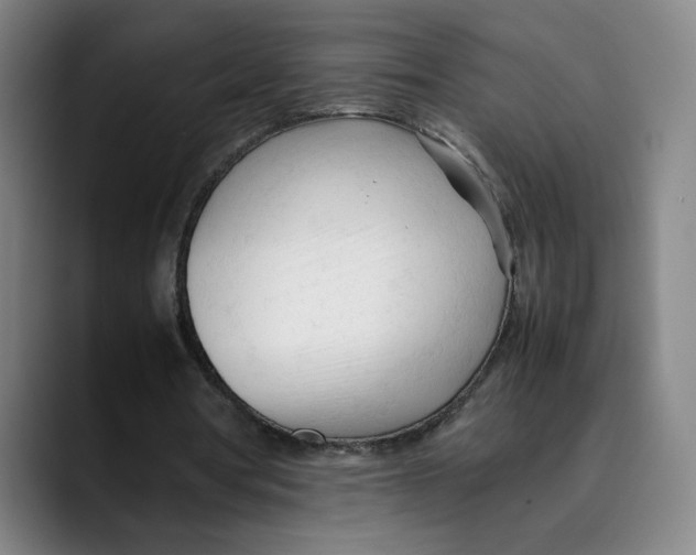 X0000089350386200707131535