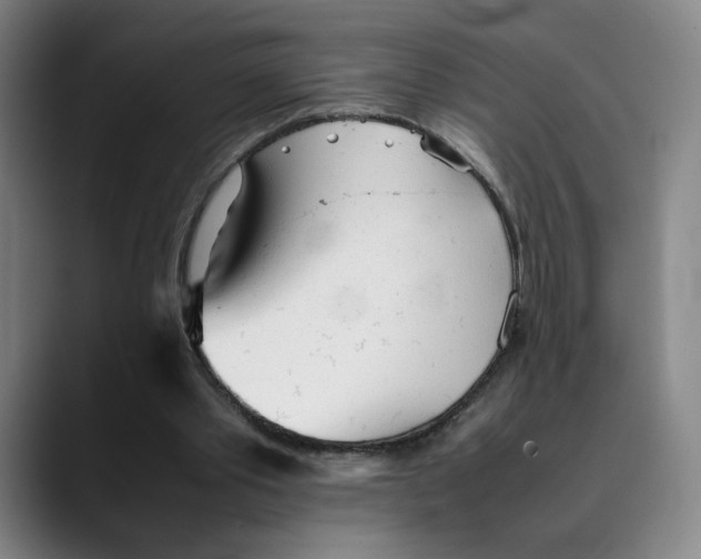 X0000089350389200707131535