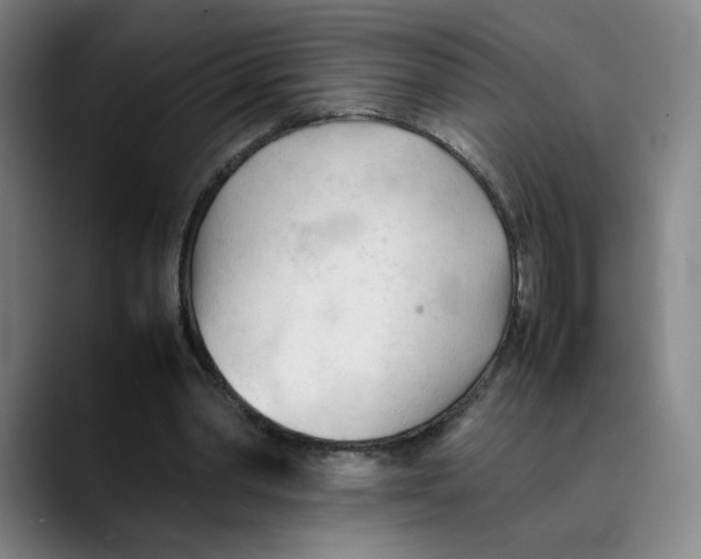 X0000089350390200707131535