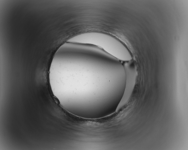 X0000089350393200707131535