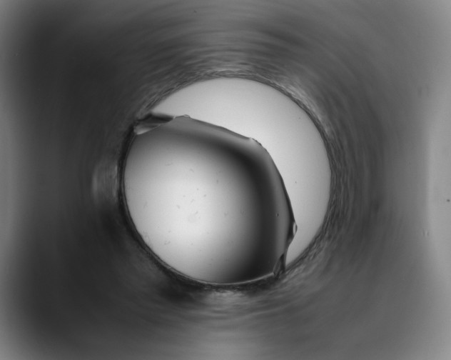 X0000089350397200707131535