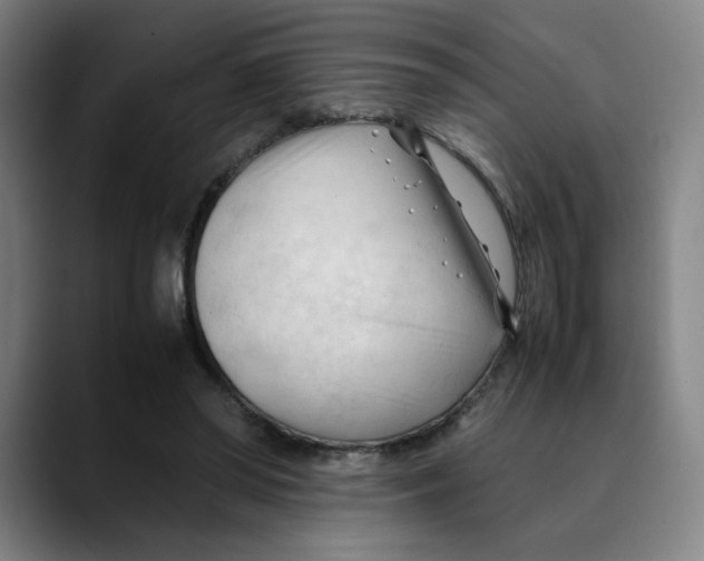 X0000089350398200707131535