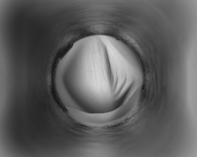 X0000089350399200707131535
