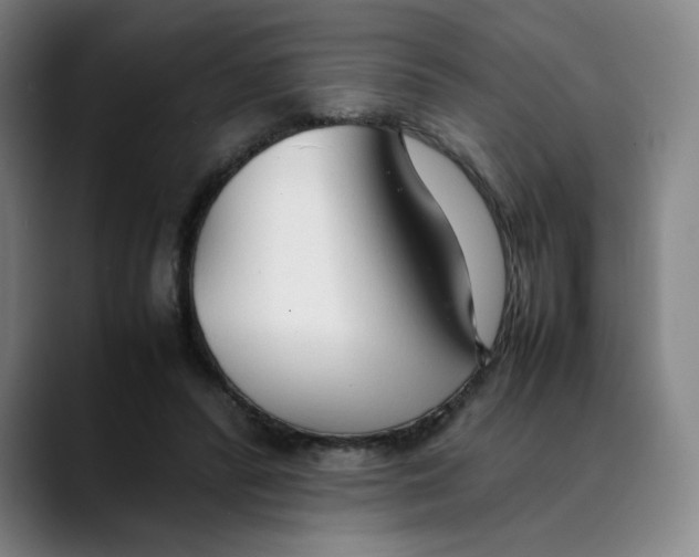 X0000089350400200707131535
